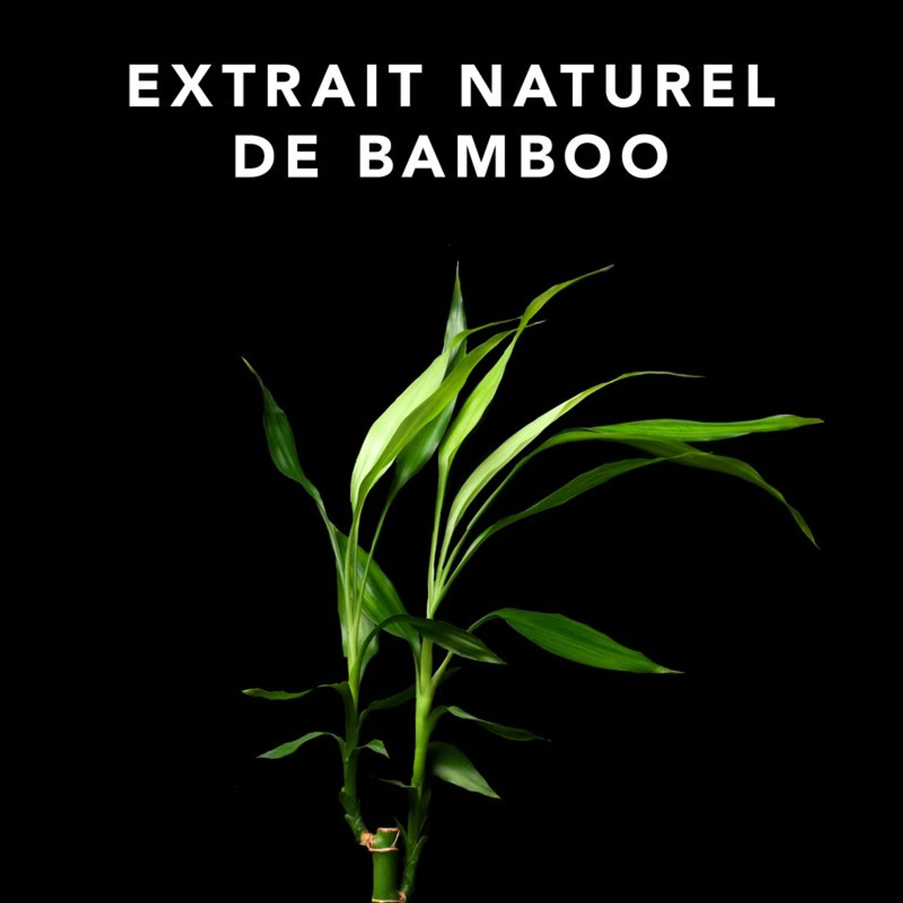 Soin Volupt Conditioner 250ml – Image 2