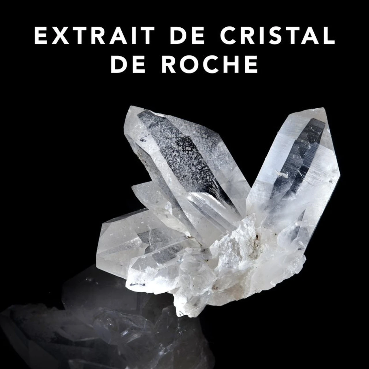 Trilliant Sebastian 150ml – Image 3