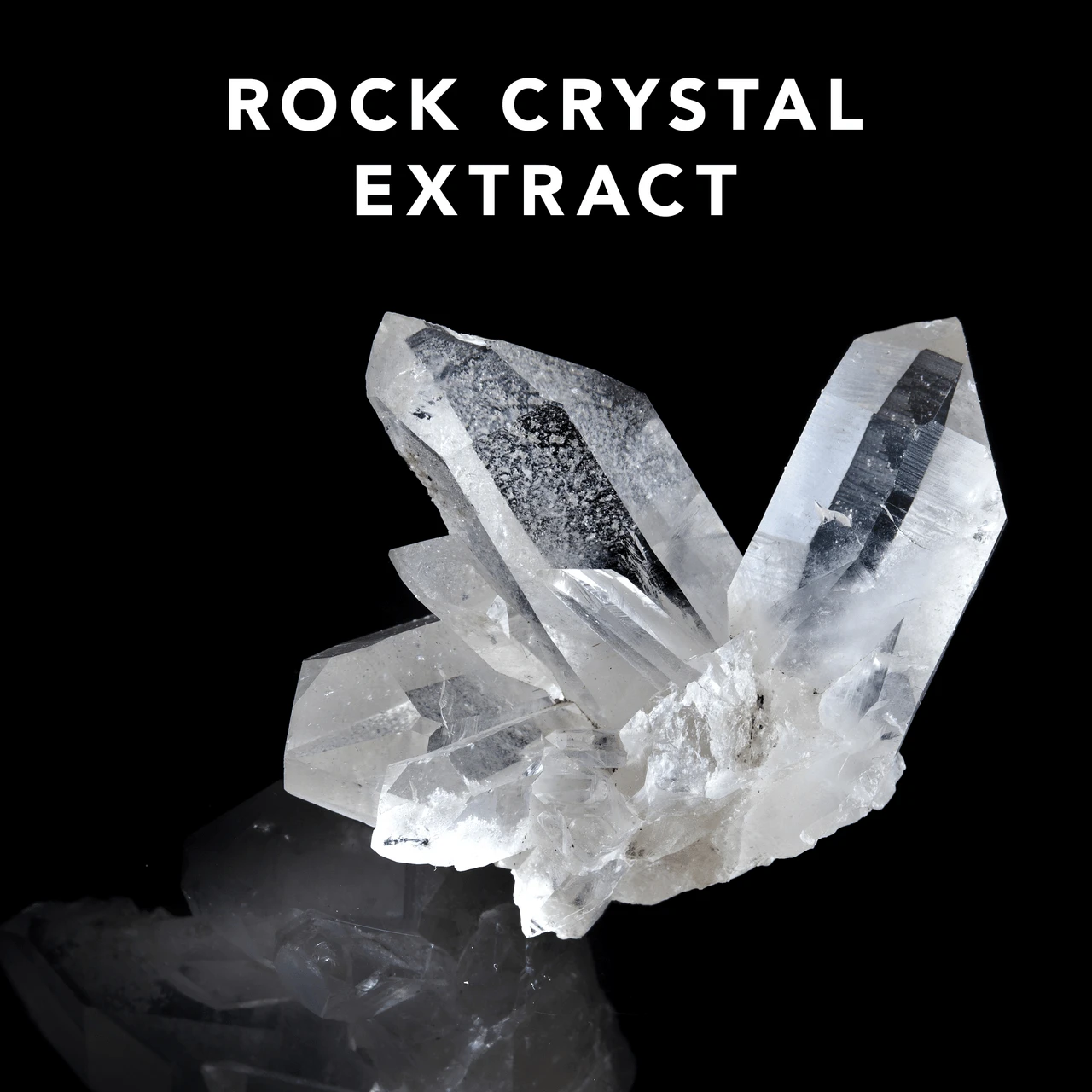 Shine Define Sebastian 200ml – Image 4