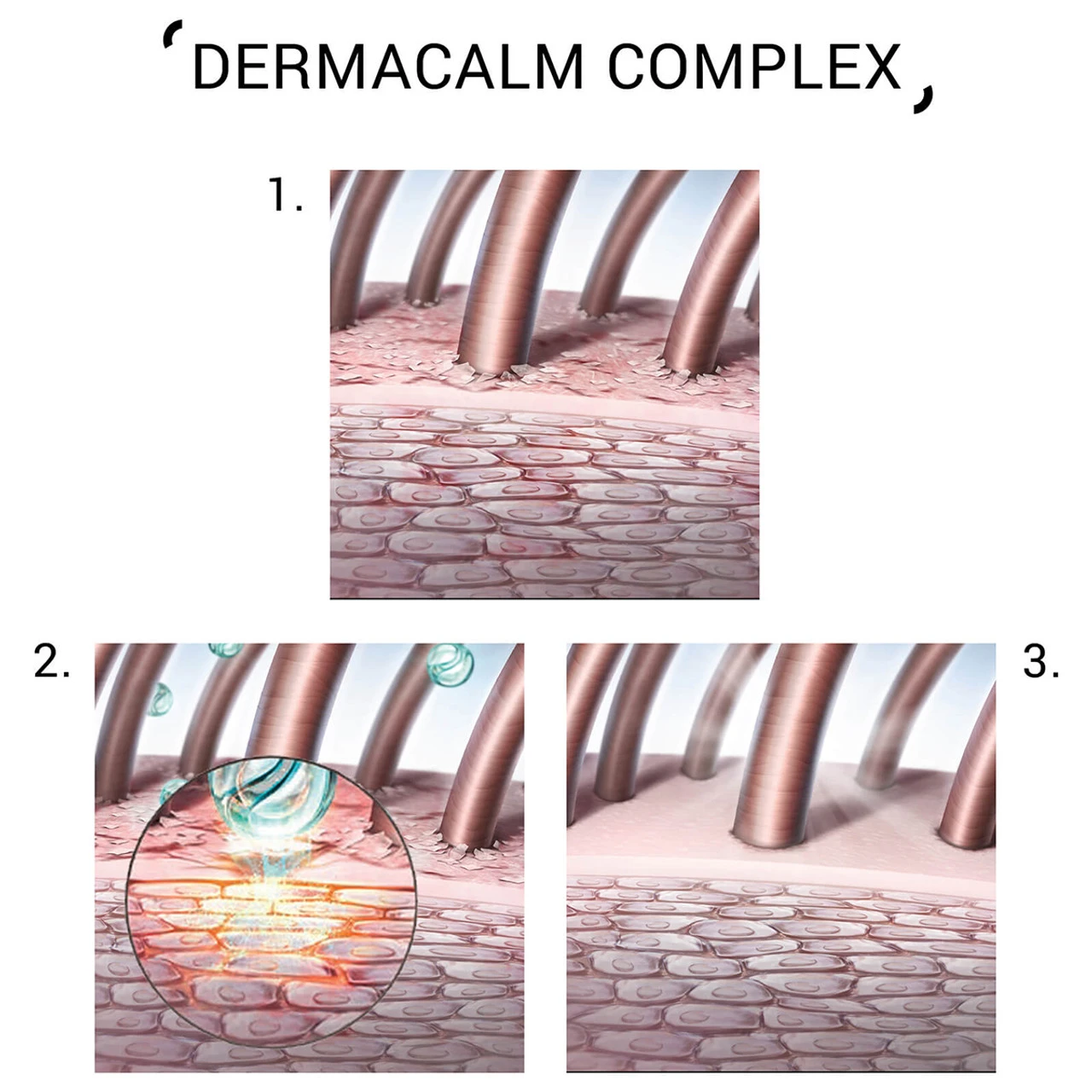 Balance Shampoo 250ml System Professional – Image 3