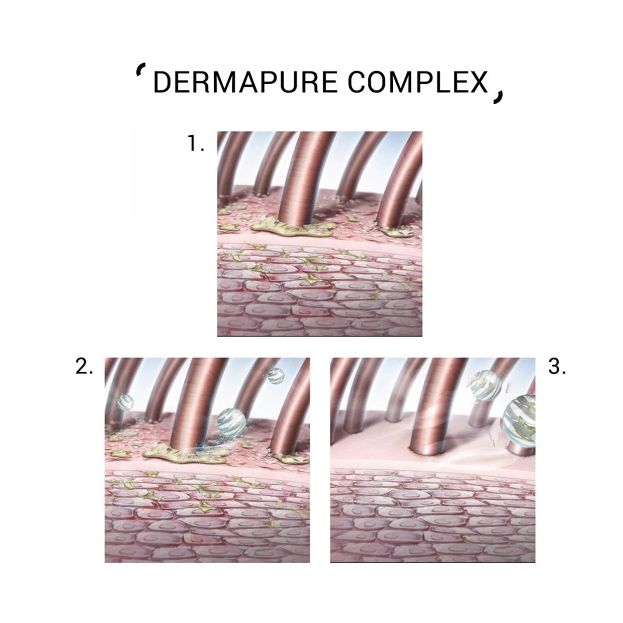 Purify Shampoo 1000ml System Professional – Image 2